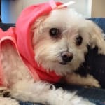 Easy to order and Prompt delivery