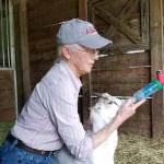 This Chamber helped save my goat with respiratory issues