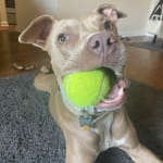 Definitely helps Peaches!