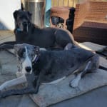 I will keep buying this product!