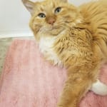 Great product and company