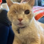 Great syringes and the best we have found for consistent use