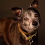 I would buy this product again and again