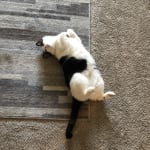 Perfect to have on hand in an emergency