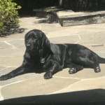 Cleared up hot spots within 3 days!