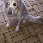 This product works great!