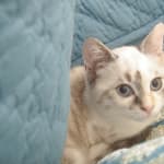 Great care was taken to ensure Rx arrived safely