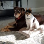 Unbelievable results!