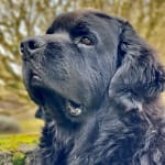 This medication helps