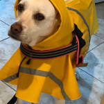 These wipes are very helpful and mild