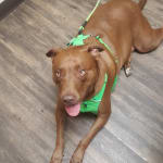 I get it every month