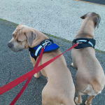 I will and do suggest this product.