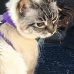 Love the Smaller Gauge and Reliability