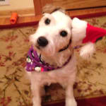 Excellent customer service