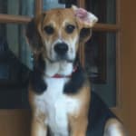 Product works great so far!