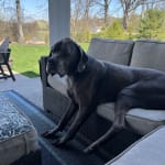 Good med at a good Price