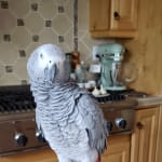 She loves the taste and it is beneficial.