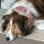 Product helped my Wes