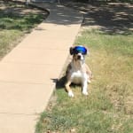 This medication has helped tremendously!