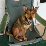 Glyde works better than anything else out there.