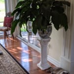 Meowables- "wow-ables"