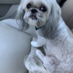 Excellent medication for eyes.