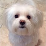 Cheapest RX online without compromising quality of product!