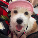 Good customer service