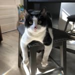 Cleared up nearly a six month Diarrhea problem in a week!