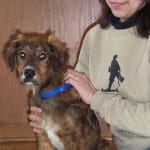 My 14 year old loves them.