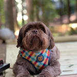 Perfect delivery process