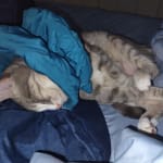 Life saving medication!