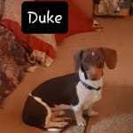 This medication is AMAZING!