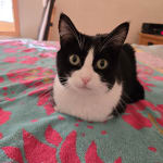 This medication is a game changer...