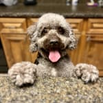 Excellent Response Time