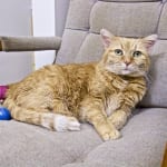 Addendum to my original review