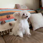 Great medicine and fast shipping.