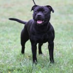 Nice alternative to spray bottle