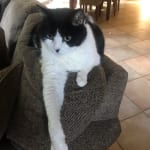This medication helped Stanley