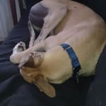 quick service great prices