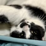 Unanimous Seal of Approval