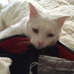 So Grateful for this Product