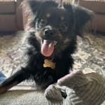 Odor free and easy to use