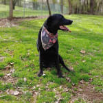 I would buy this product again.