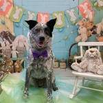 This supplement is a great choice!