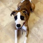 My Baby's Saving Grace Medicine!