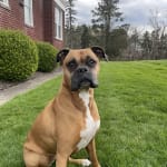 Running again with YuMove