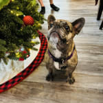 This medication works!