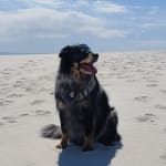 Great products, great prices, even better service