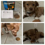 Great customer service